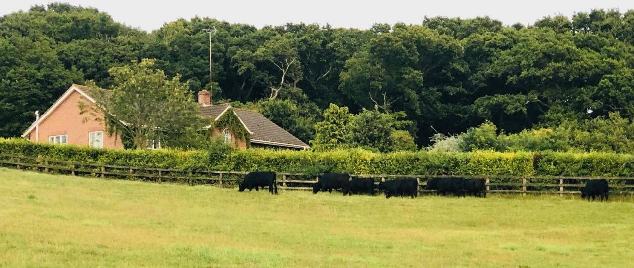 Yellowham Farm, Dorchester Higher Bockhampton Dış mekan fotoğraf