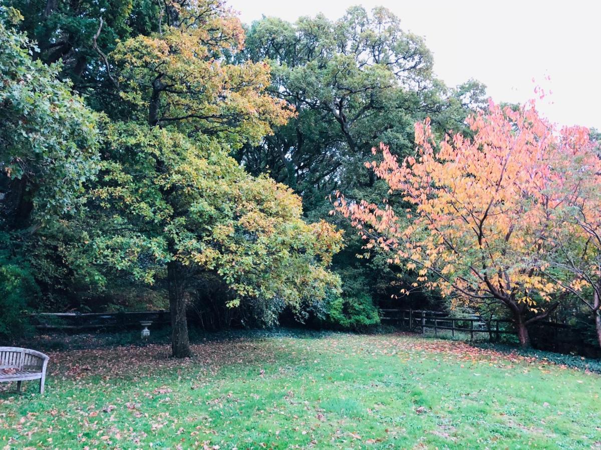 Yellowham Farm, Dorchester Higher Bockhampton Dış mekan fotoğraf