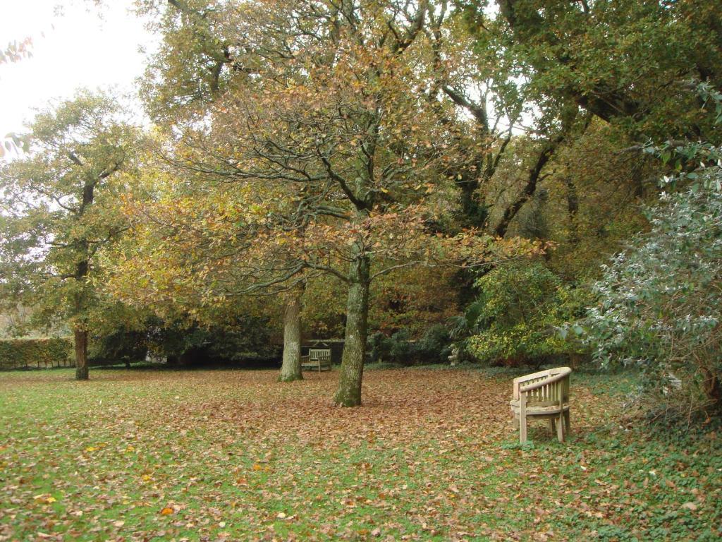 Yellowham Farm, Dorchester Higher Bockhampton Dış mekan fotoğraf