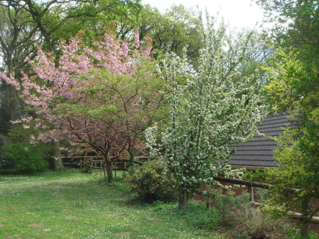 Yellowham Farm, Dorchester Higher Bockhampton Dış mekan fotoğraf