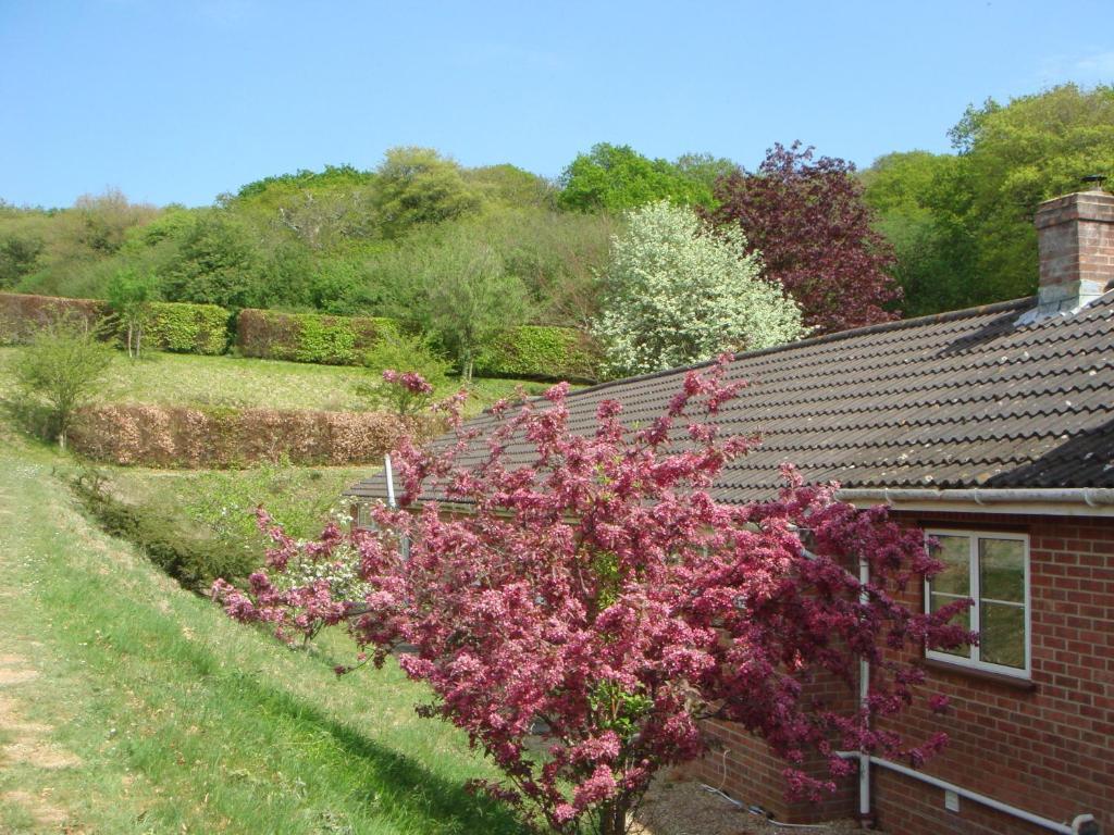 Yellowham Farm, Dorchester Higher Bockhampton Dış mekan fotoğraf